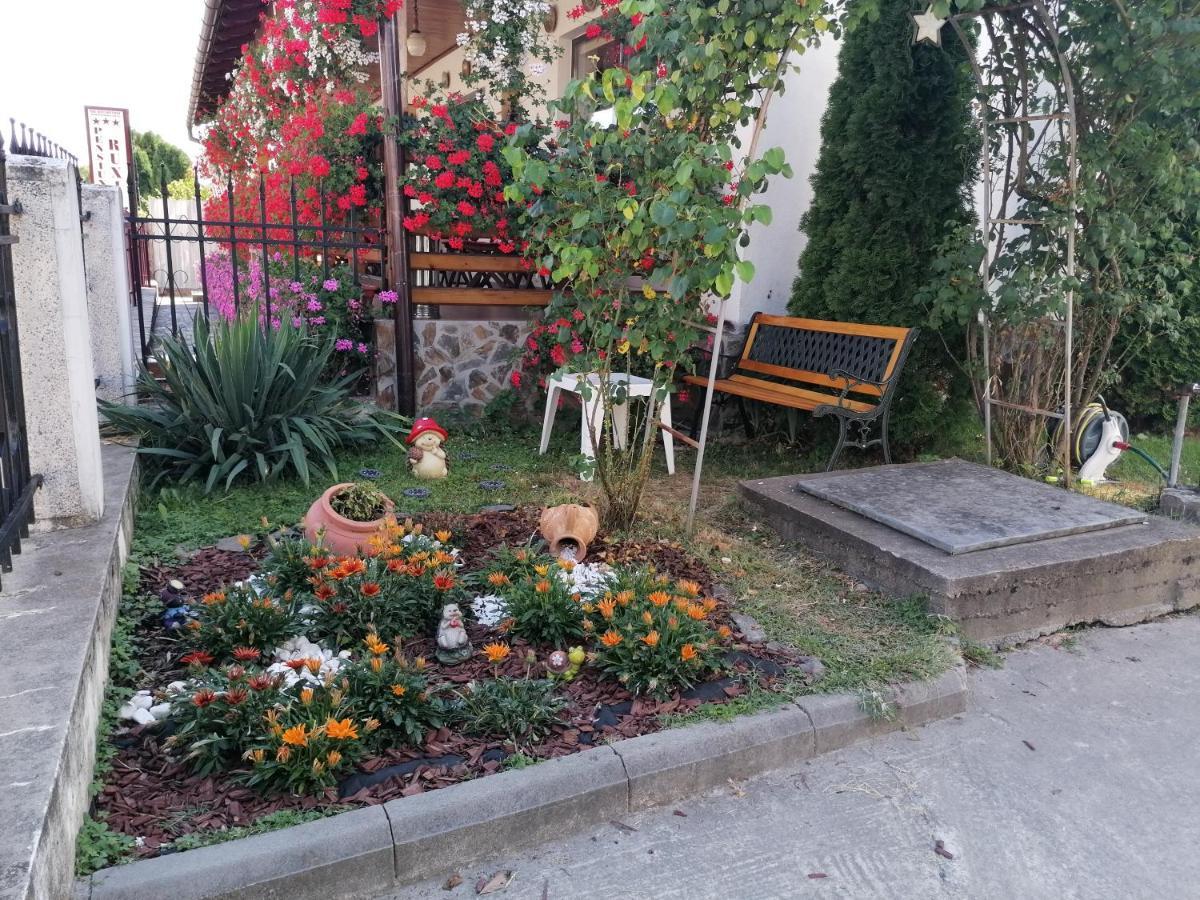 Pensiunea Ioana Curtea de Argeş Exteriör bild