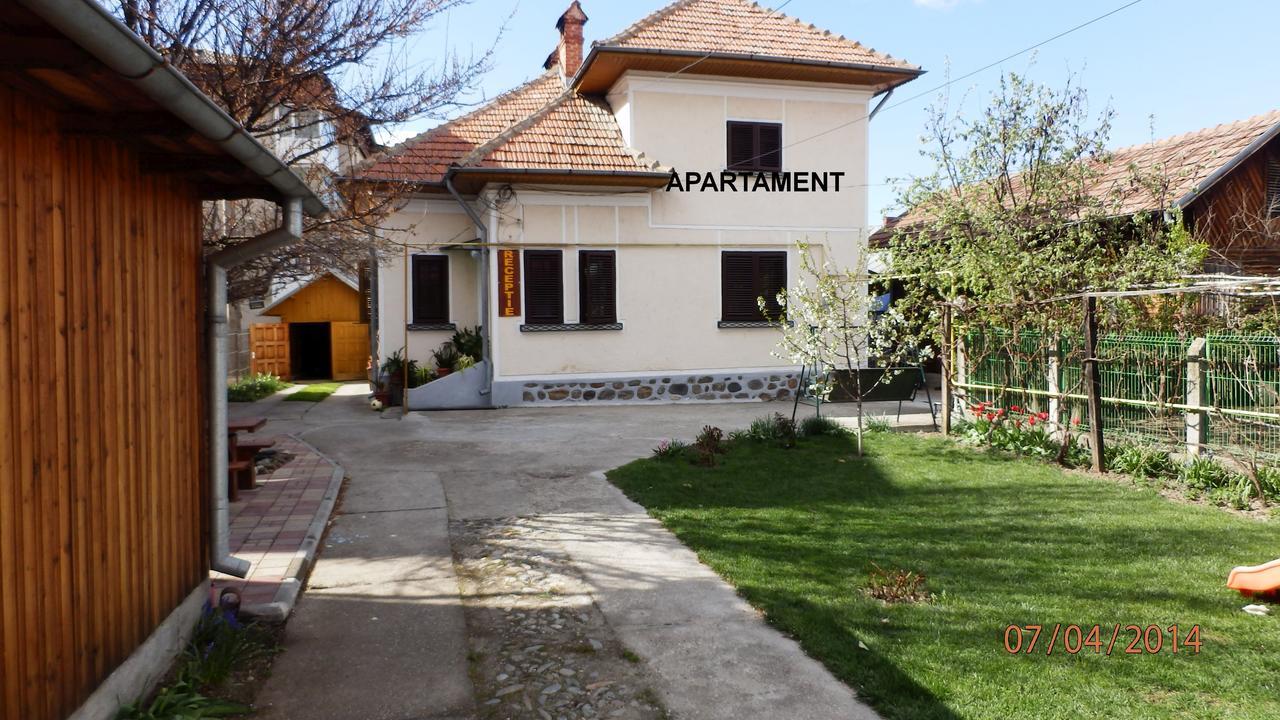 Pensiunea Ioana Curtea de Argeş Exteriör bild